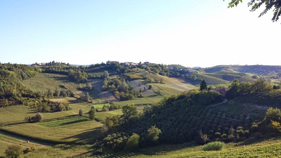 Alta Villa The Countryhouse Adults Only Boutique Bnb Vigliano d'Asti Exterior photo